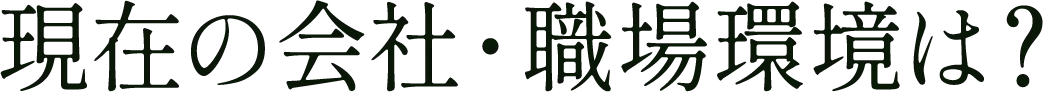 現在の会社・職場環境は？